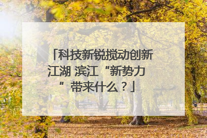 科技新锐搅动创新江湖 滨江“新势力”带来什么？