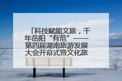 科技赋能文旅，千年岳阳“有范”——第四届湖南旅游发展大会开幕式暨文化旅游推介会侧记