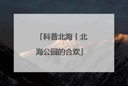 科普北海丨北海公园的合欢