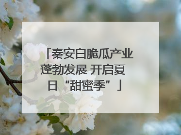 秦安白脆瓜产业蓬勃发展 开启夏日“甜蜜季”