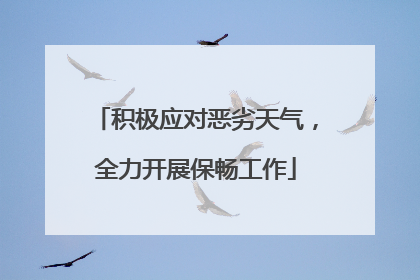积极应对恶劣天气，全力开展保畅工作
