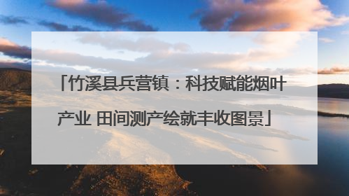 竹溪县兵营镇：科技赋能烟叶产业 田间测产绘就丰收图景
