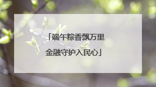 端午粽香飘万里 金融守护入民心