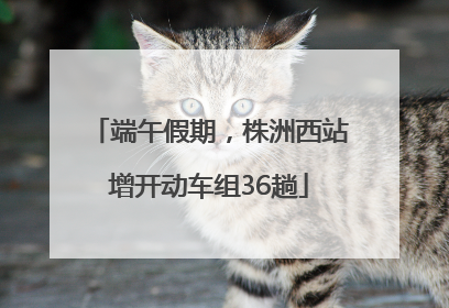 端午假期，株洲西站增开动车组36趟