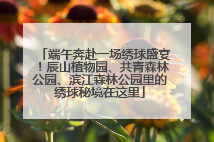 端午奔赴一场绣球盛宴！辰山植物园、共青森林公园、滨江森林公园里的绣球秘境在这里