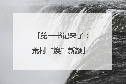 第一书记来了：荒村“焕”新颜