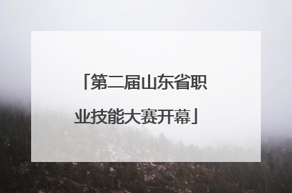 第二届山东省职业技能大赛开幕