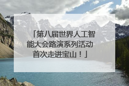 第八届世界人工智能大会路演系列活动首次走进宝山！