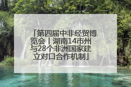 第四届中非经贸博览会丨湖南14市州与28个非洲国家建立对口合作机制