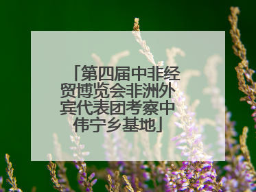 第四届中非经贸博览会非洲外宾代表团考察中伟宁乡基地
