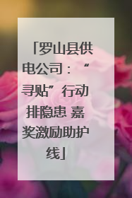 罗山县供电公司：“寻贴”行动排隐患 嘉奖激励助护线