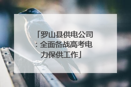 罗山县供电公司：全面备战高考电力保供工作
