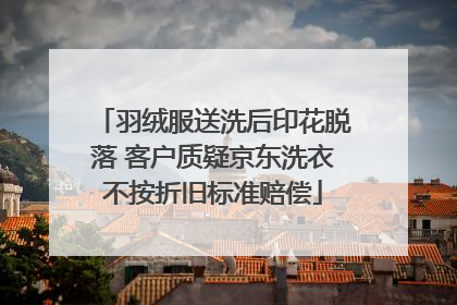 羽绒服送洗后印花脱落 客户质疑京东洗衣不按折旧标准赔偿