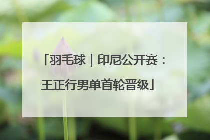 羽毛球｜印尼公开赛：王正行男单首轮晋级