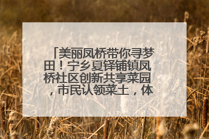 美丽凤桥带你寻梦田！宁乡夏铎铺镇凤桥社区创新共享菜园，市民认领菜土，体验耕种收获乐趣