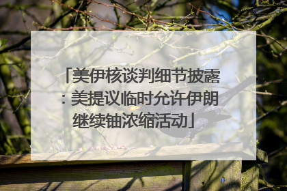 美伊核谈判细节披露：美提议临时允许伊朗继续铀浓缩活动