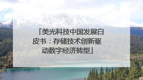 美光科技中国发展白皮书：存储技术创新驱动数字经济转型