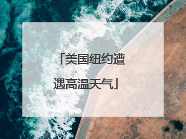 美国纽约遭遇高温天气