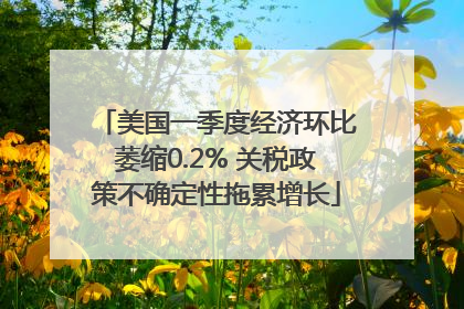 美国一季度经济环比萎缩0.2% 关税政策不确定性拖累增长
