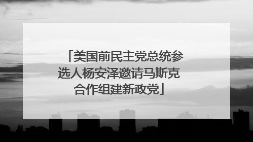 美国前民主党总统参选人杨安泽邀请马斯克合作组建新政党