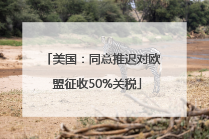 美国：同意推迟对欧盟征收50%关税