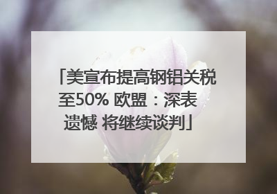美宣布提高钢铝关税至50% 欧盟：深表遗憾 将继续谈判