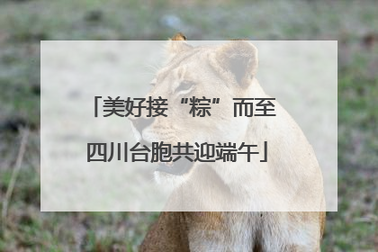 美好接“粽”而至 四川台胞共迎端午