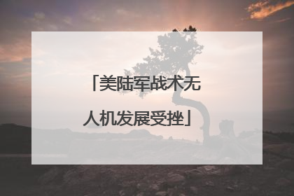 美陆军战术无人机发展受挫