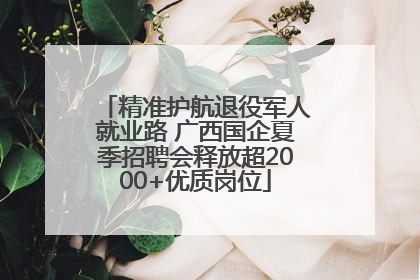 精准护航退役军人就业路 广西国企夏季招聘会释放超2000+优质岗位