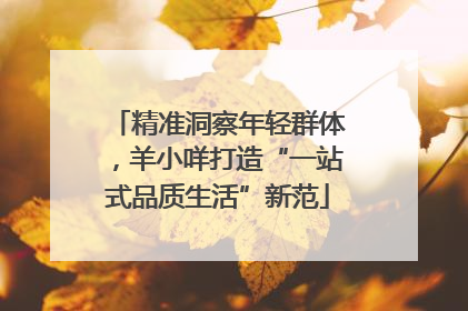 精准洞察年轻群体，羊小咩打造“一站式品质生活”新范