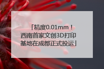 精度0.01mm！西南首家文创3D打印基地在成都正式投运