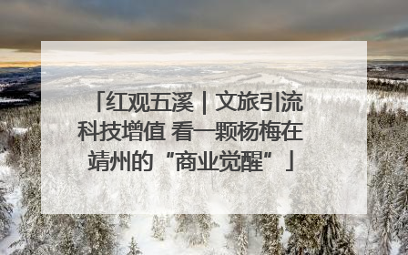 红观五溪｜文旅引流 科技增值 看一颗杨梅在靖州的“商业觉醒”