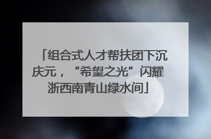 组合式人才帮扶团下沉庆元，“希望之光”闪耀浙西南青山绿水间
