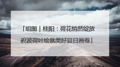 组图｜桂阳：荷花悄然绽放 碧波荷叶绘就美好夏日画卷