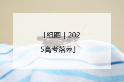 组图｜2025高考落幕