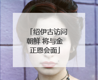 绍伊古访问朝鲜 将与金正恩会面