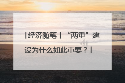经济随笔丨“两重”建设为什么如此重要？