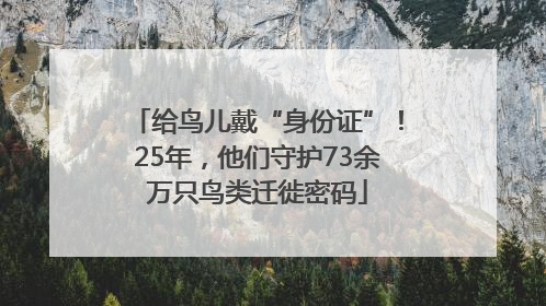 给鸟儿戴“身份证”！25年，他们守护73余万只鸟类迁徙密码