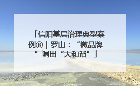 信阳基层治理典型案例⑧｜罗山：“微品牌”调出“大和谐”