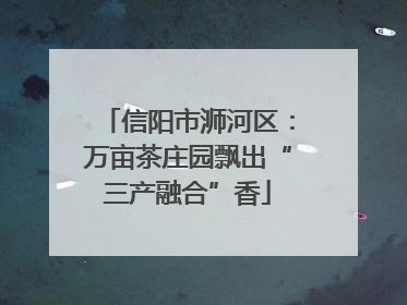 信阳市浉河区：万亩茶庄园飘出“三产融合”香