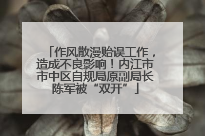 作风散漫贻误工作，造成不良影响！内江市市中区自规局原副局长陈军被“双开”
