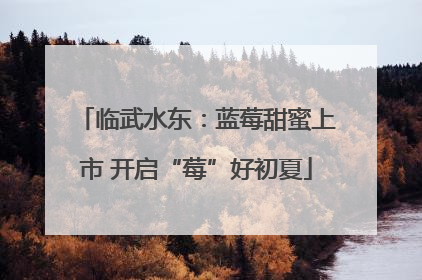 临武水东：蓝莓甜蜜上市 开启“莓”好初夏