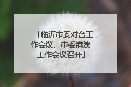 临沂市委对台工作会议、市委港澳工作会议召开