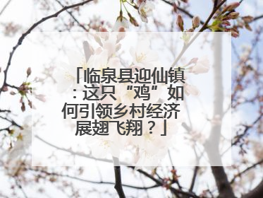 临泉县迎仙镇：这只“鸡”如何引领乡村经济展翅飞翔？