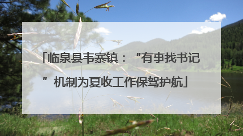 临泉县韦寨镇：“有事找书记”机制为夏收工作保驾护航