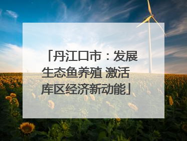 丹江口市：发展生态鱼养殖 激活库区经济新动能