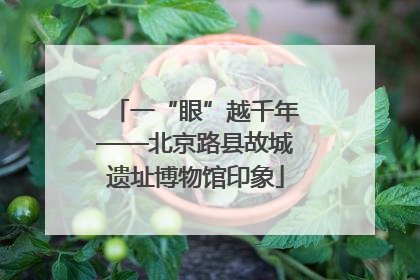 一“眼”越千年——北京路县故城遗址博物馆印象