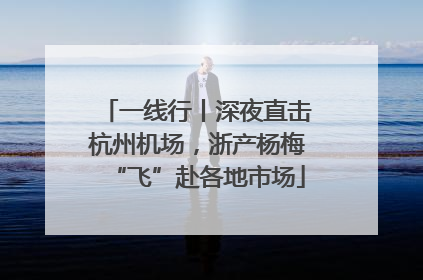 一线行丨深夜直击杭州机场，浙产杨梅“飞”赴各地市场