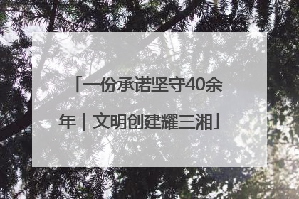 一份承诺坚守40余年｜文明创建耀三湘