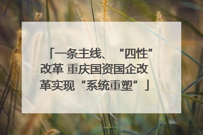 一条主线、“四性”改革 重庆国资国企改革实现“系统重塑”